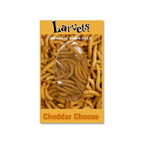 Hotlix Larvets Cheddar Cheese Insects Bugs worm Snacks Redfern